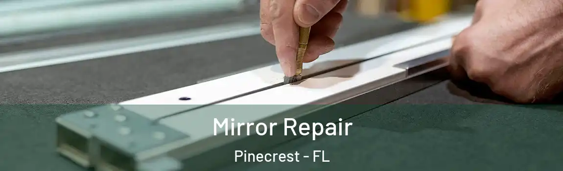  Mirror Repair Pinecrest - FL